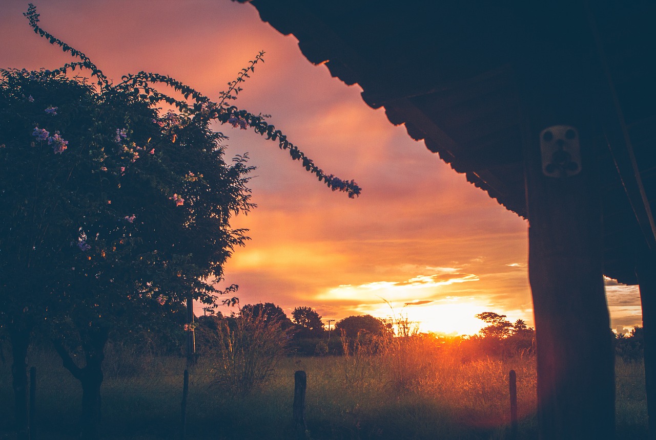 sunset dusk field free photo