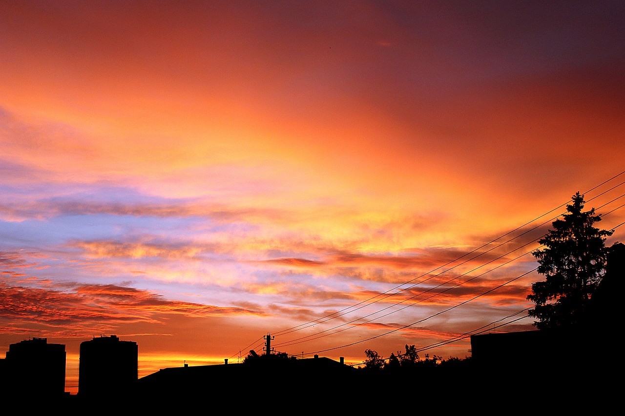 sunset dusk silhouette free photo