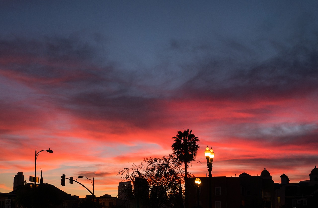 sunset pink sky free photo