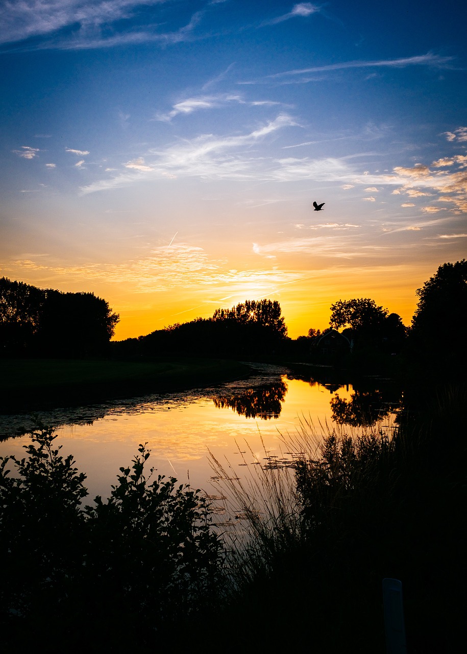 sunset lake forest free photo