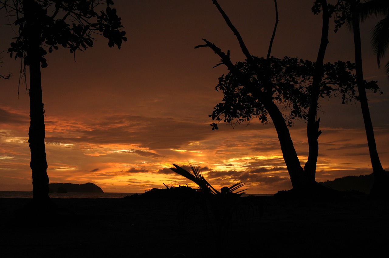 sunset sun trees free photo