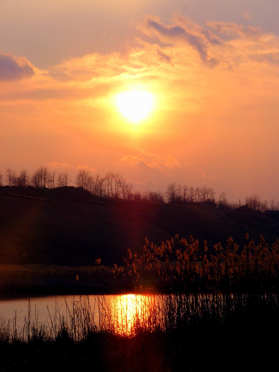 sunset lake cane free photo