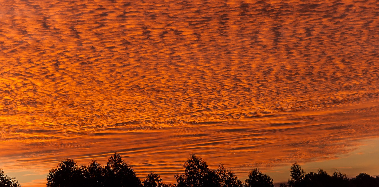 sunset sky clouds free photo