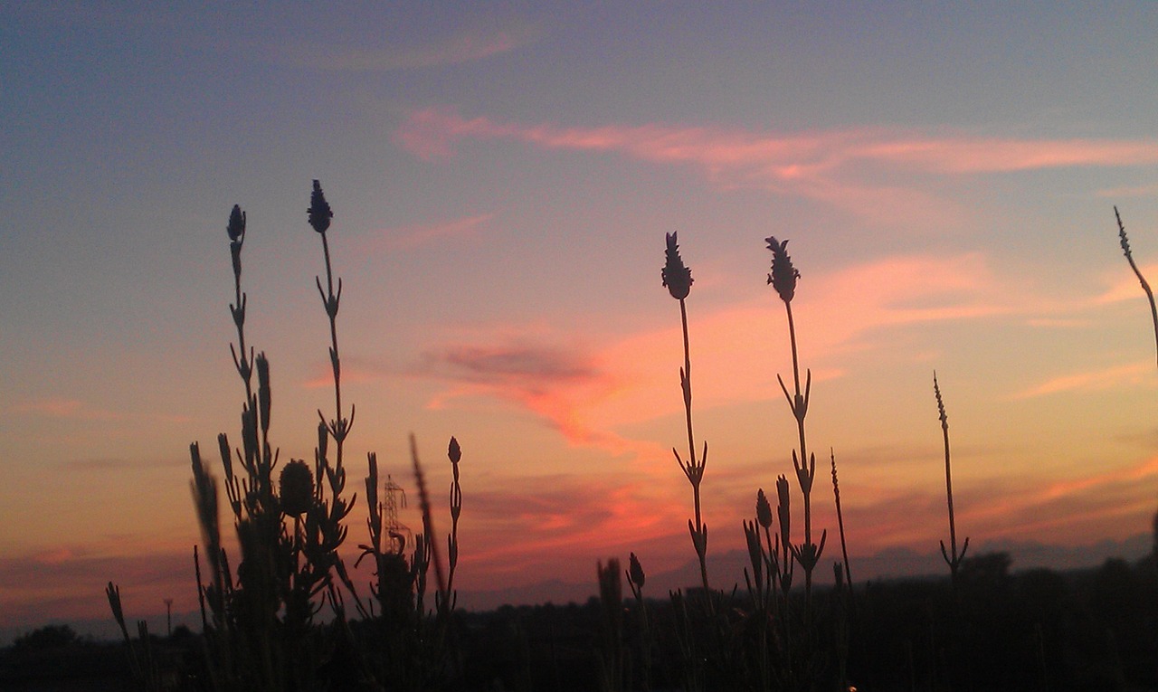 sunset nature clouds free photo