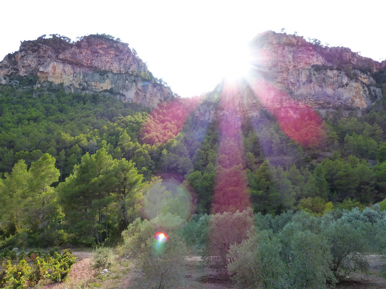 sunset mountains forest free photo