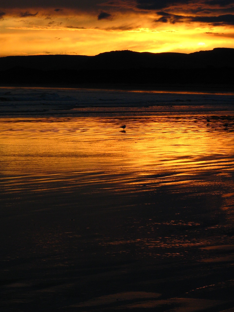 sunset light beach free photo