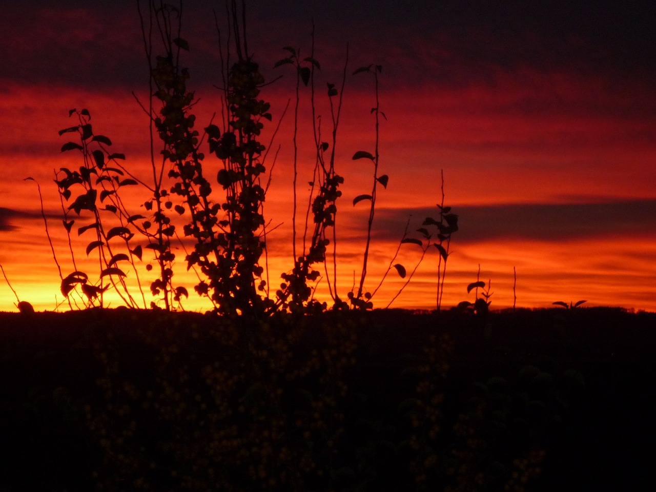 sunset sky orange sky free photo