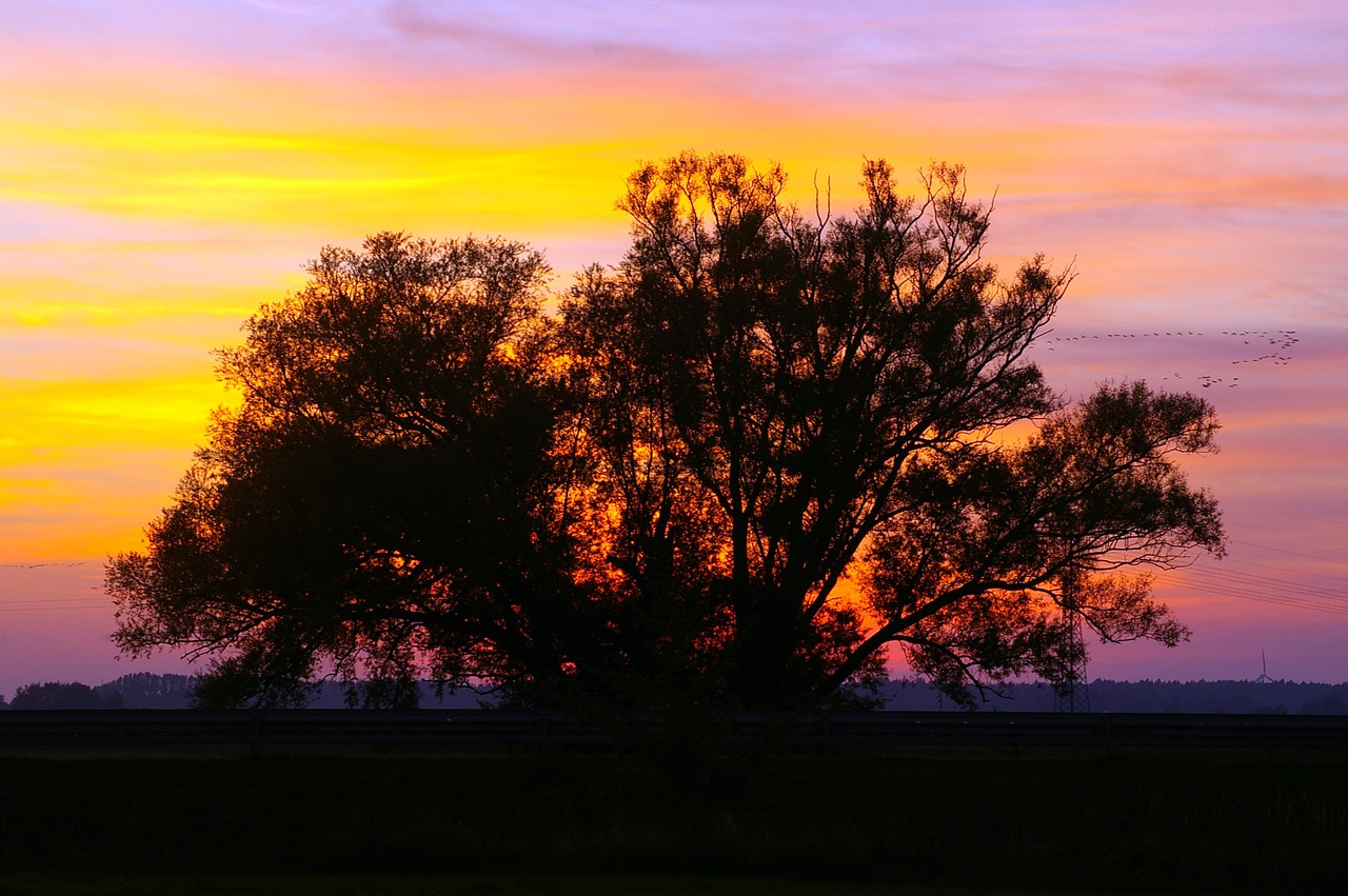 sunset evening clouds free photo