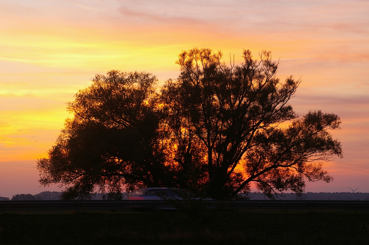 sunset evening clouds free photo