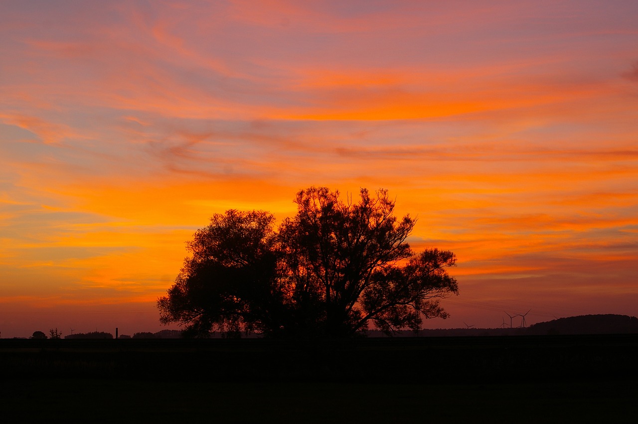 sunset evening clouds free photo