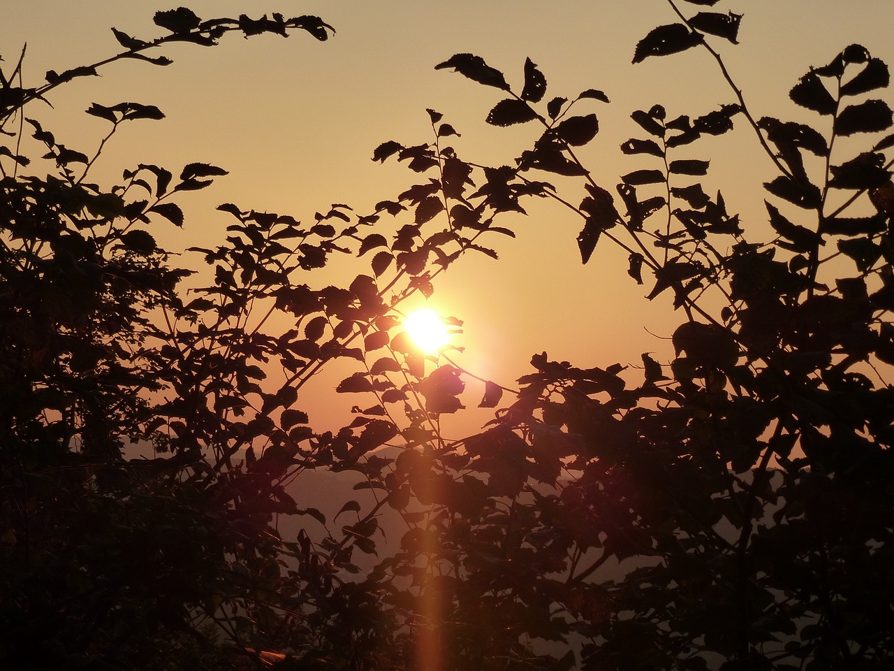 sunset sky evening sky free photo