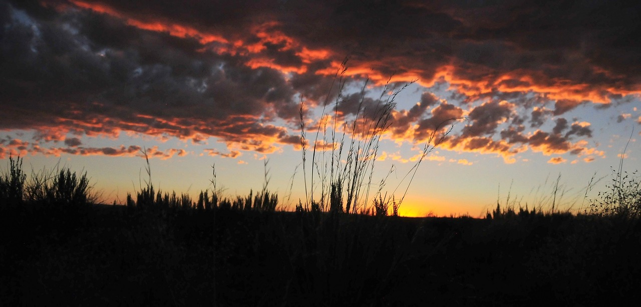 sunset grassland sky free photo