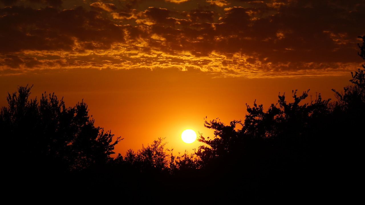 silhouette sunset nature free photo