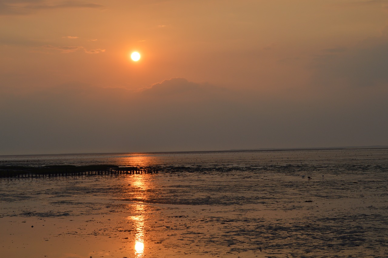 sunset spiekeroog sea free photo