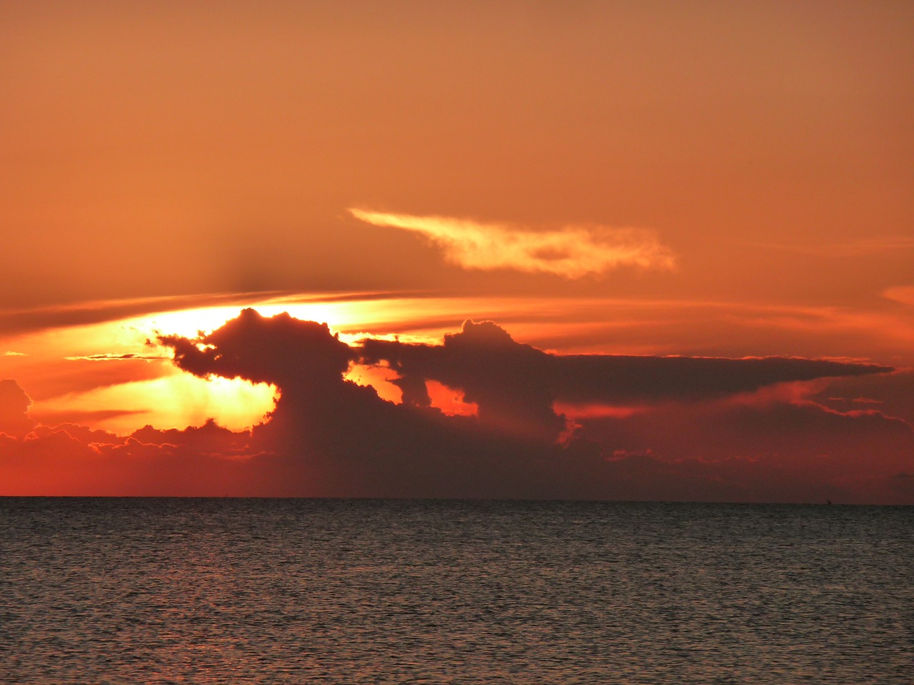 sunset zanzibar sea free photo