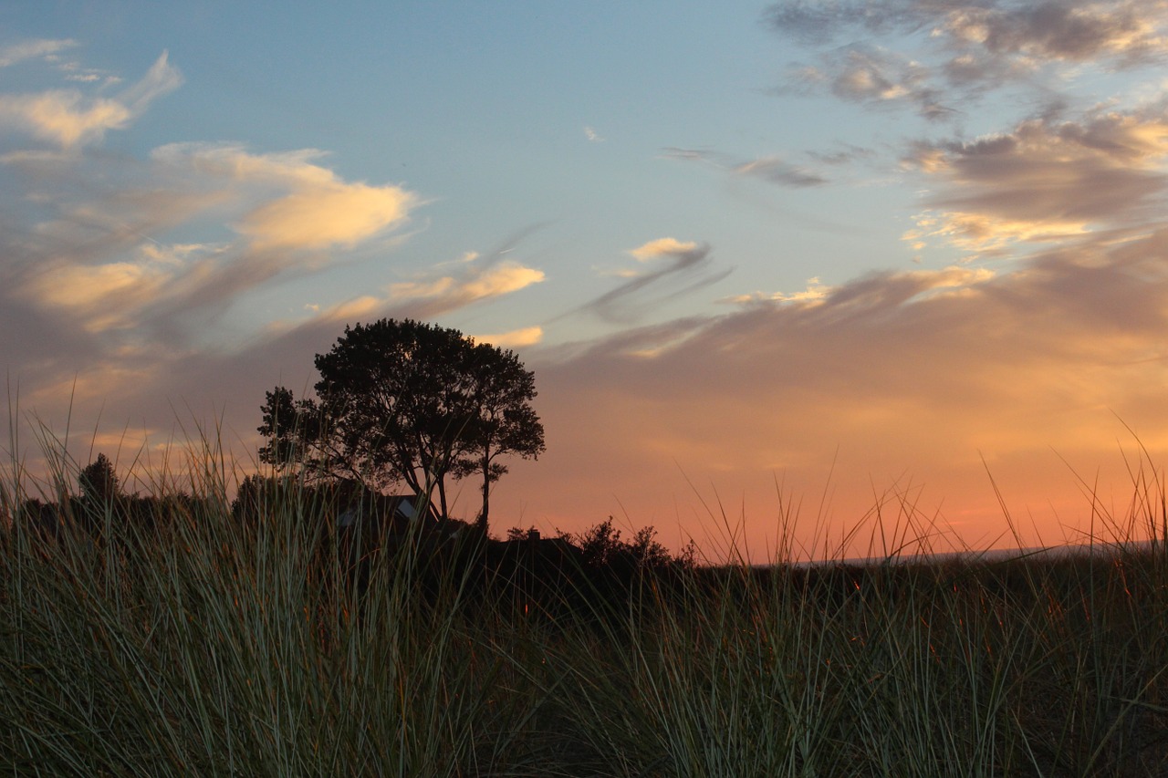 sunset autumn sea free photo