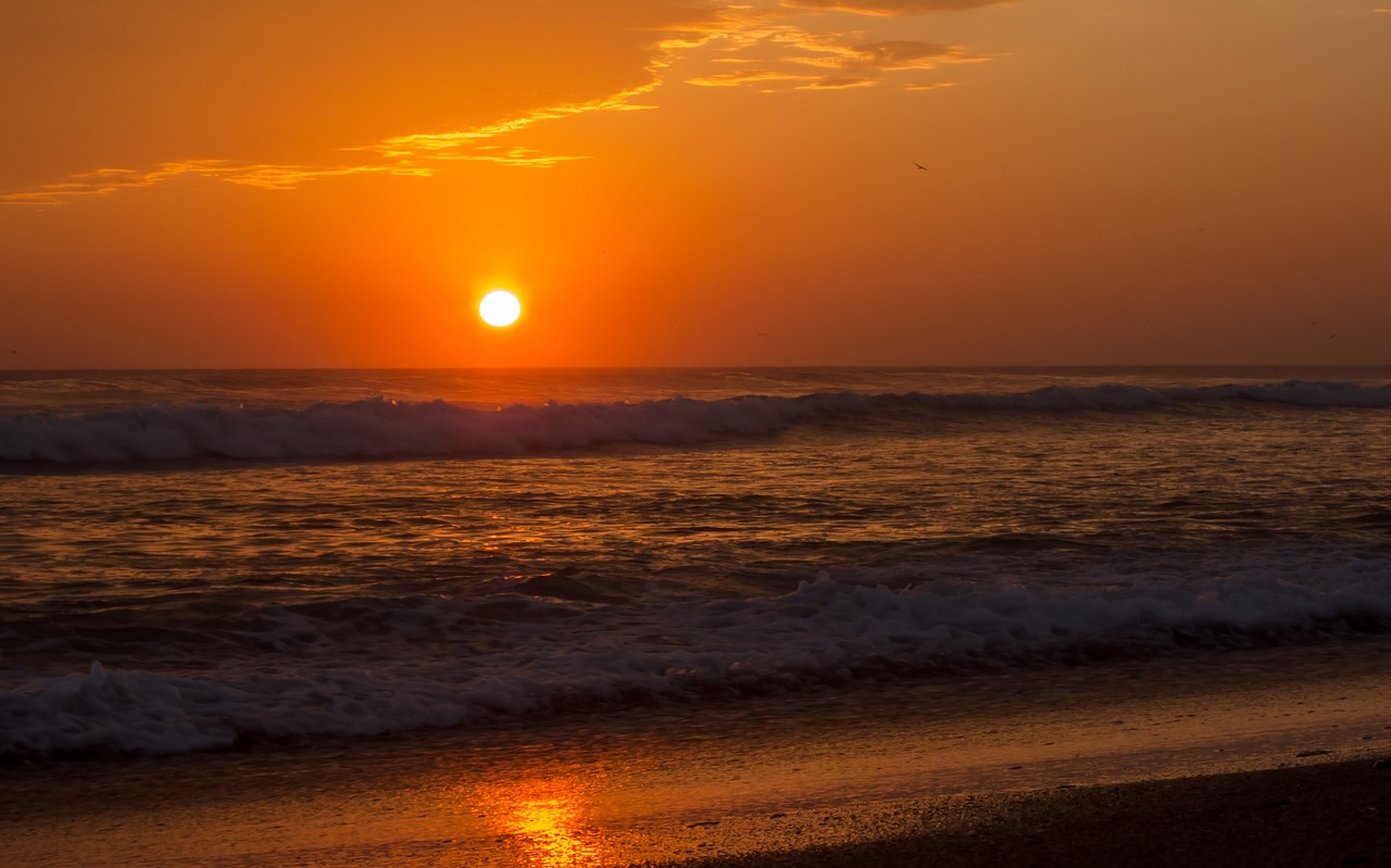 sunset surf beach free photo