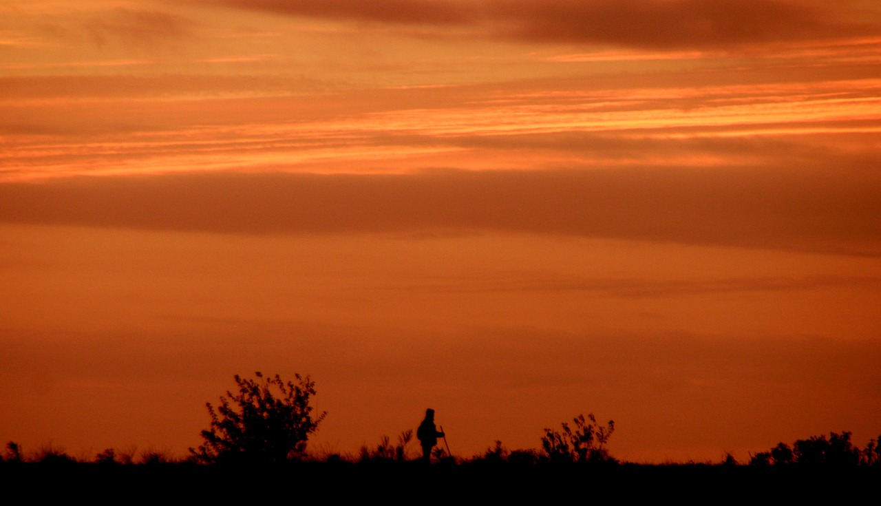 sunset sky cloud free photo