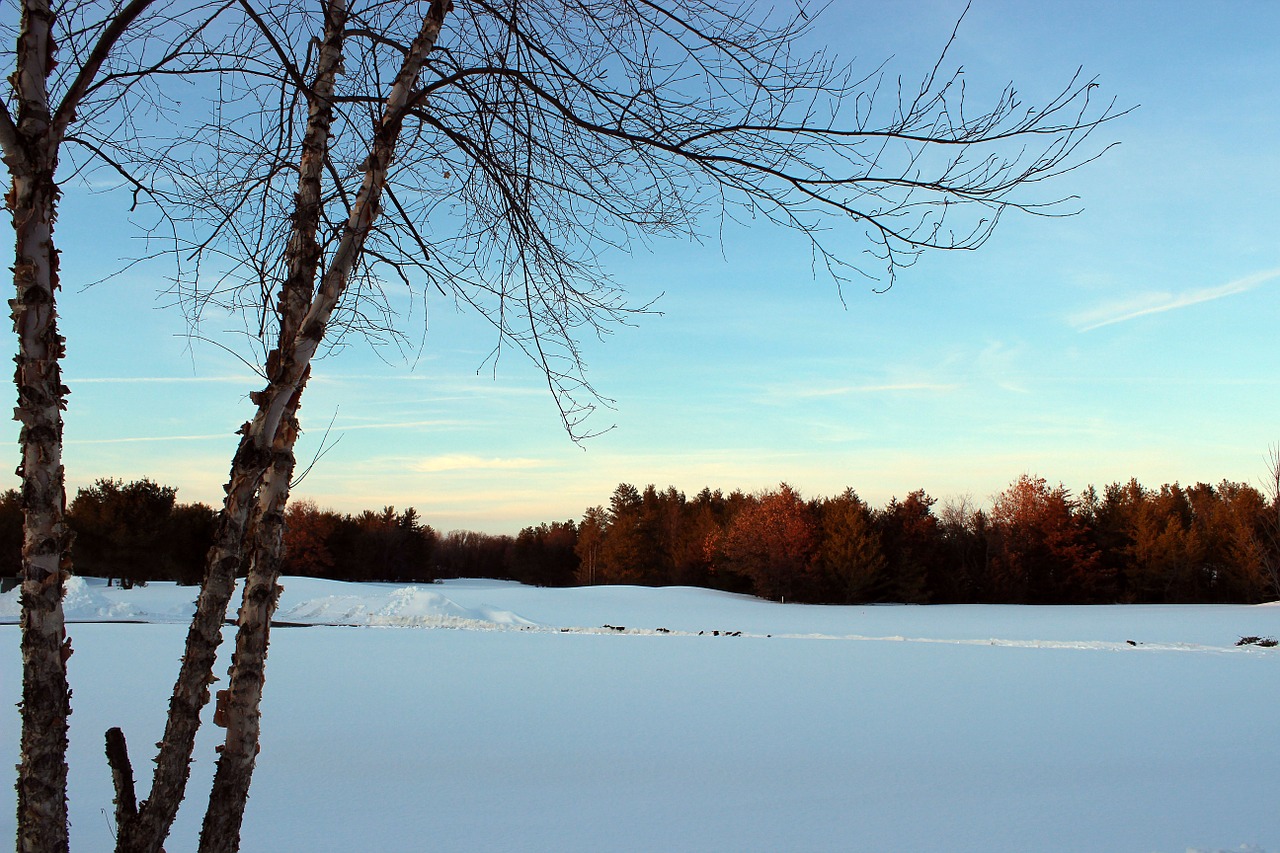 sunset winter blue sky free photo