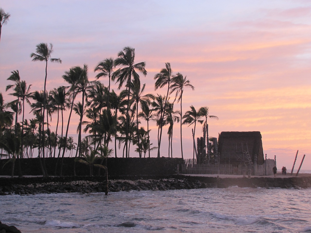 sunset palm lava free photo