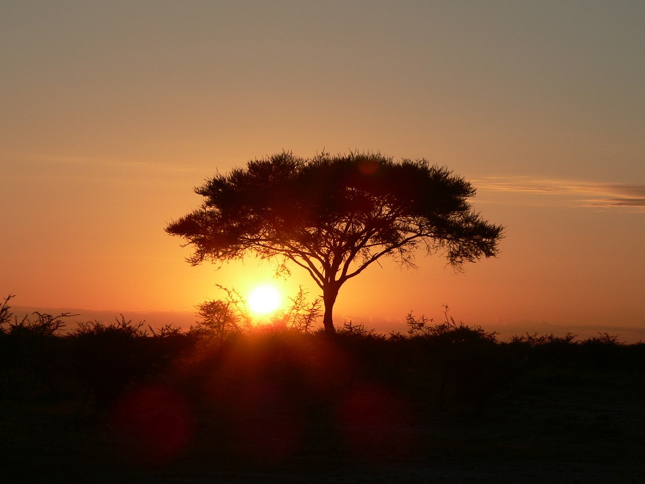 sunset africa steppe evening free photo