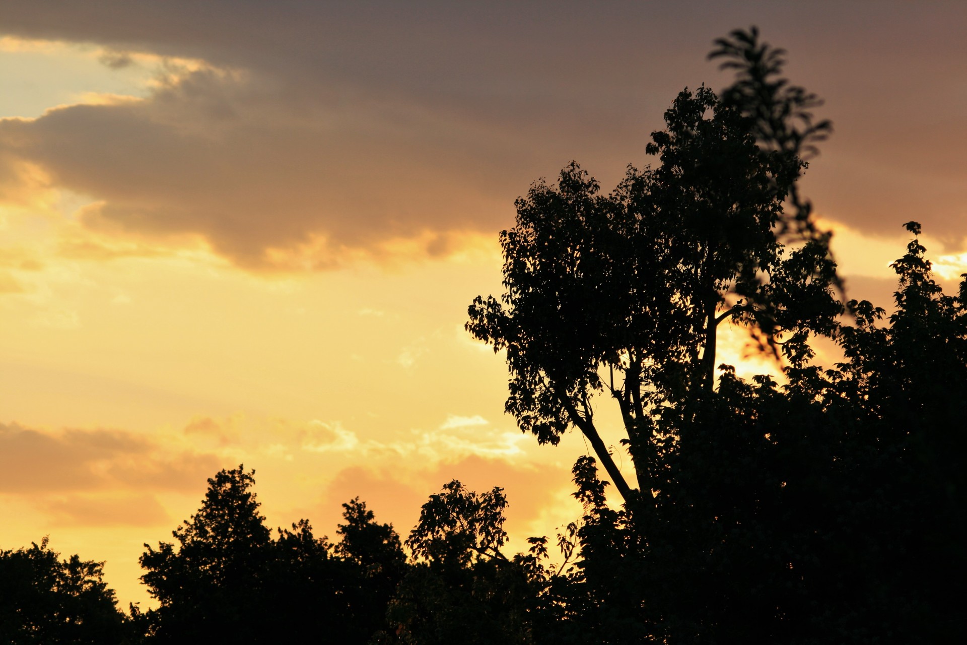 sunset glow orange free photo