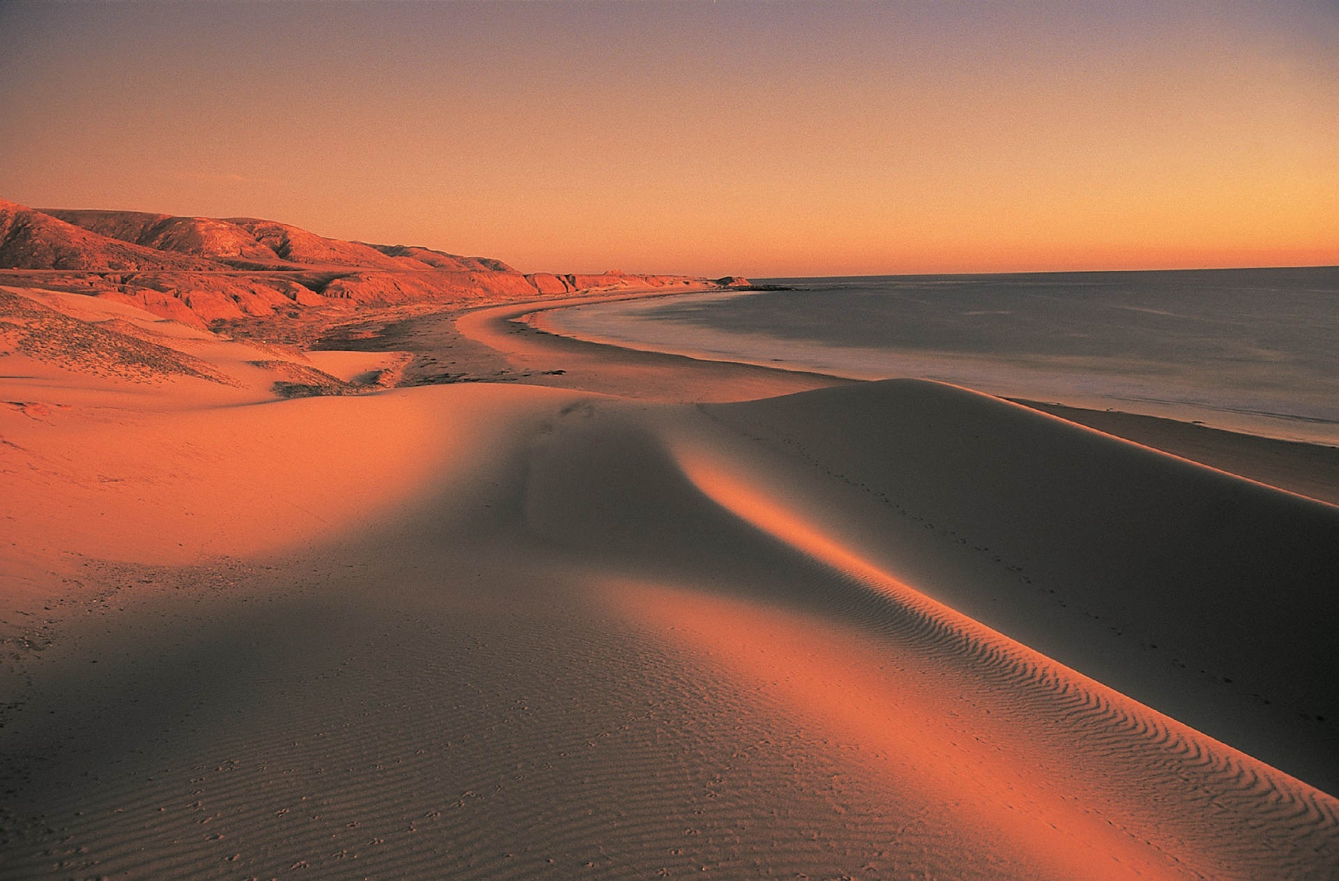 sand dunes ocean seashore free photo