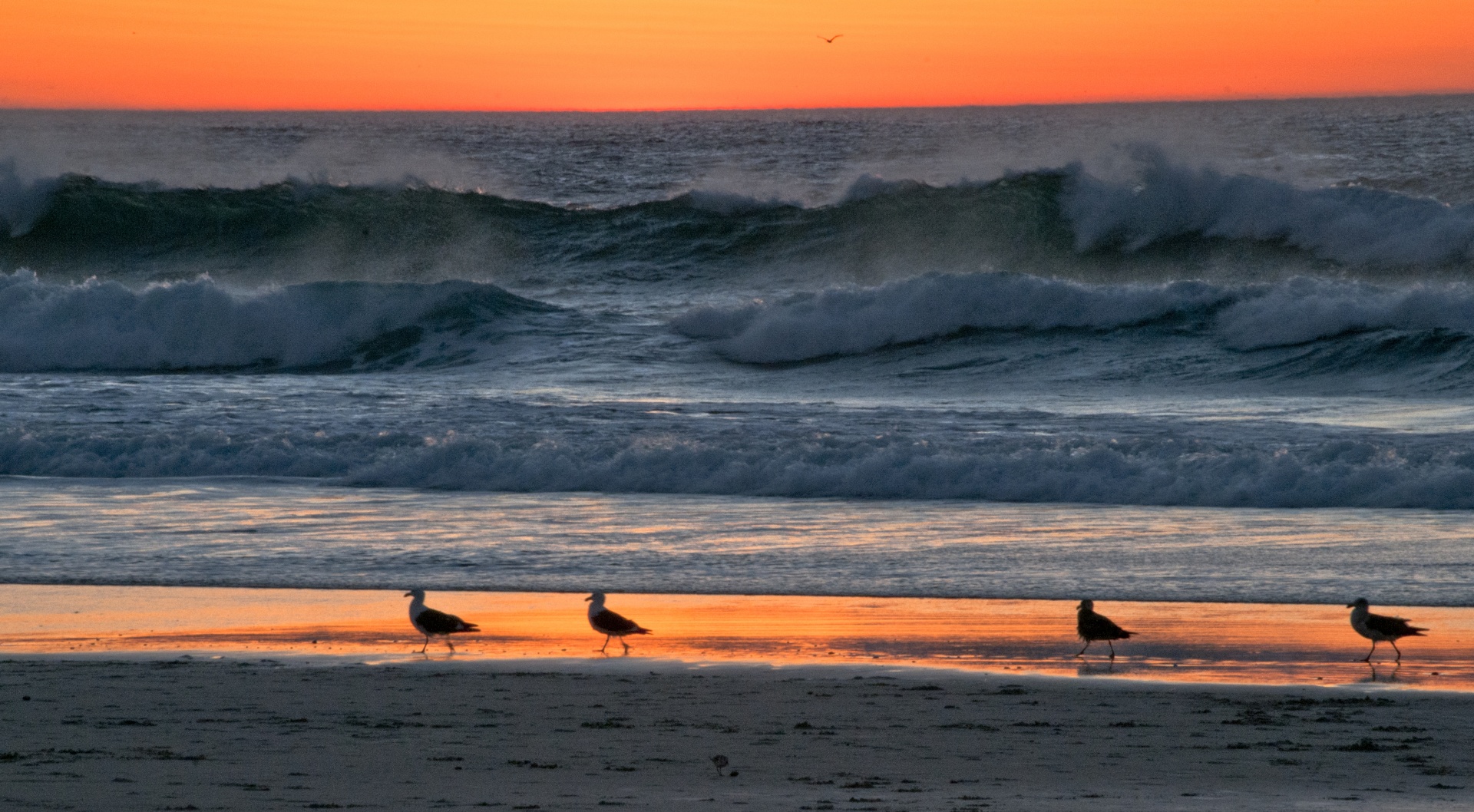 sunset sun set beach free photo