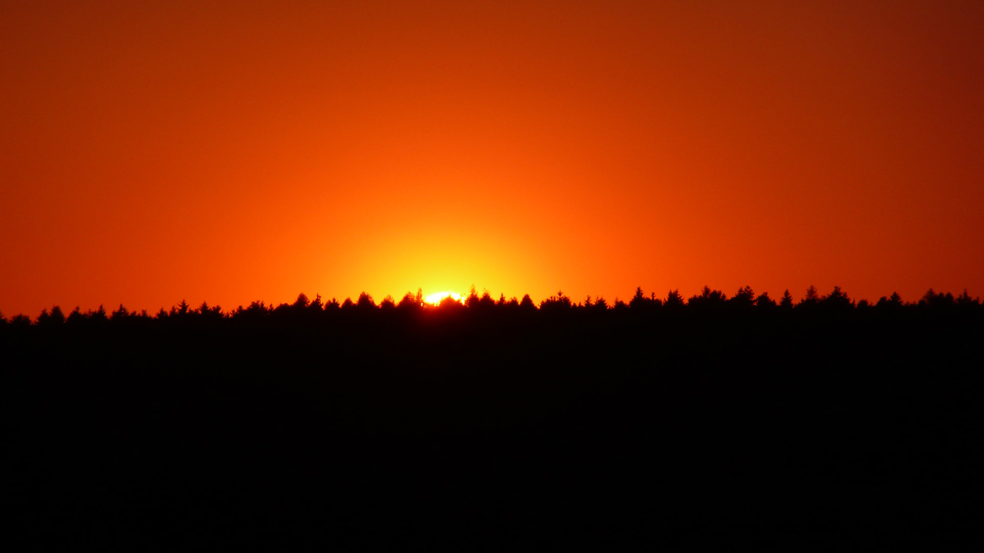 sunset trees background free photo