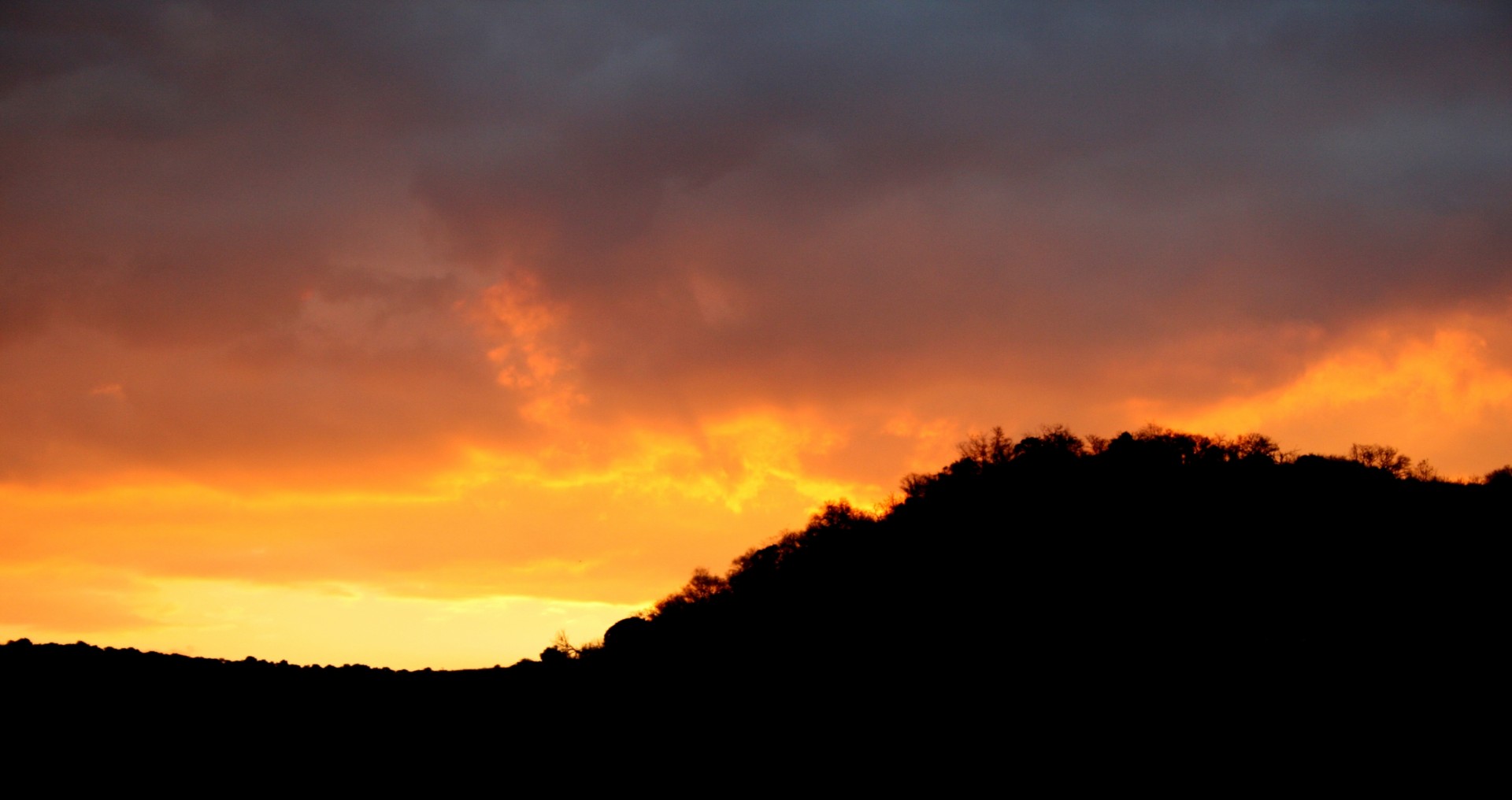 sunset bright yellow to orange free photo