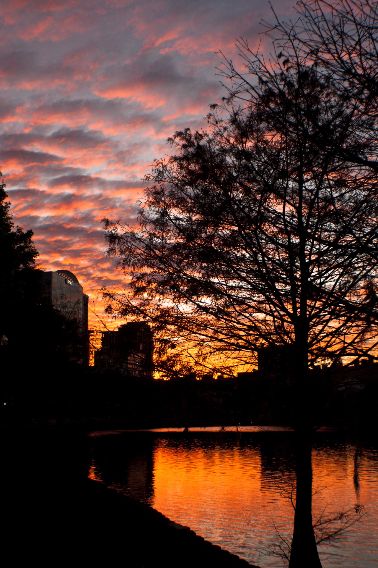 sunset city orlando free photo