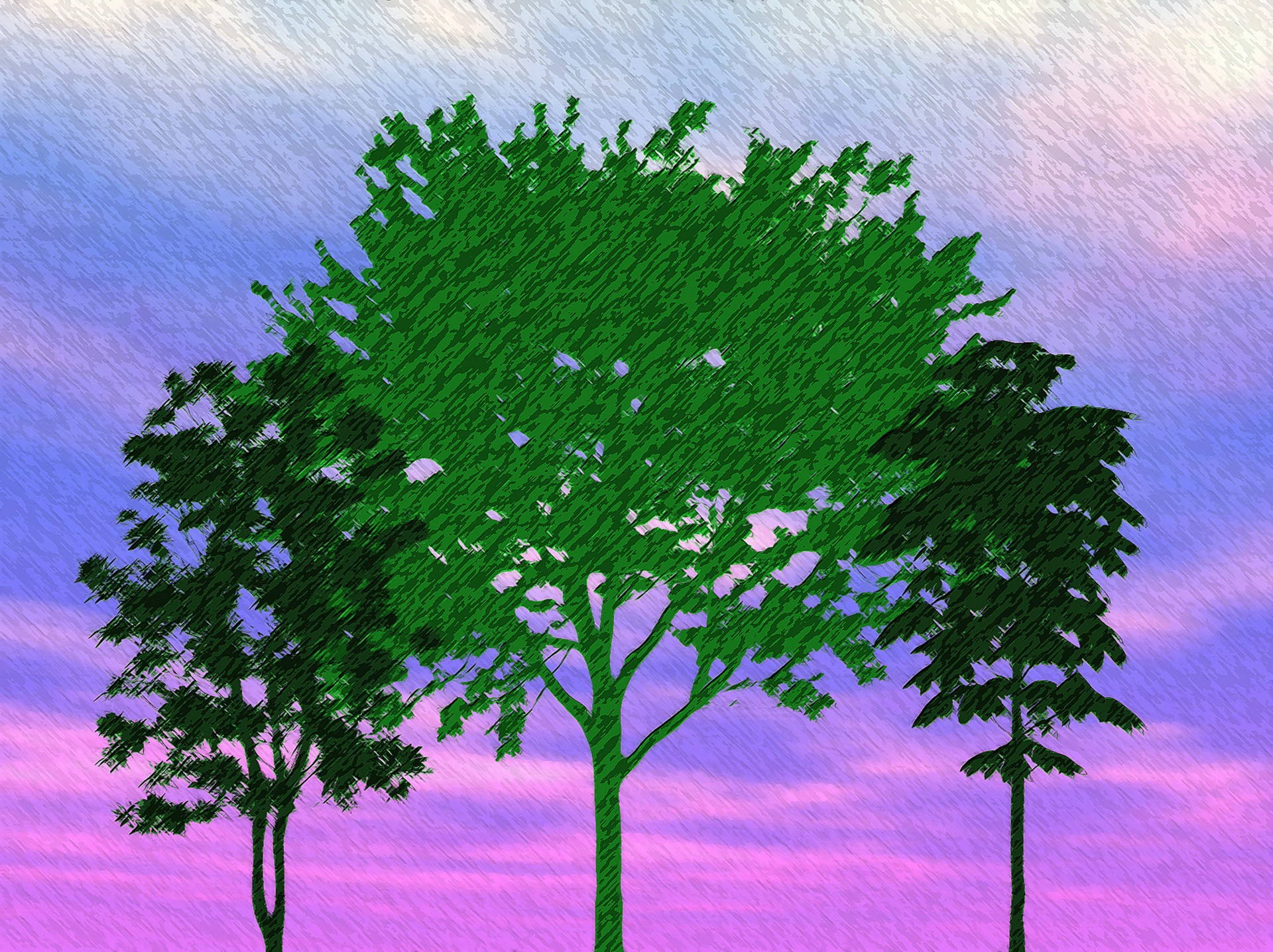 vector trees sky free photo