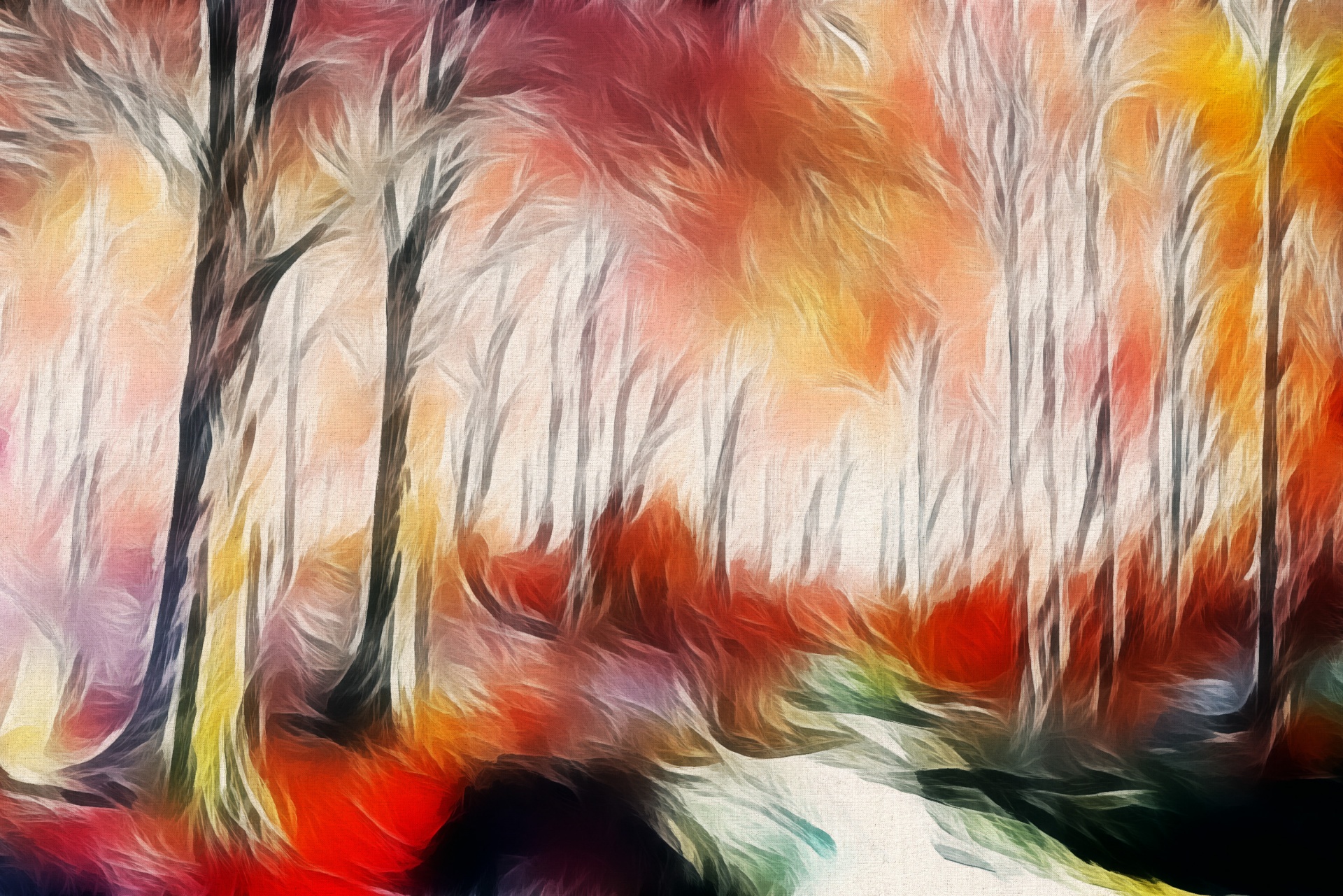 forest trees colors free photo