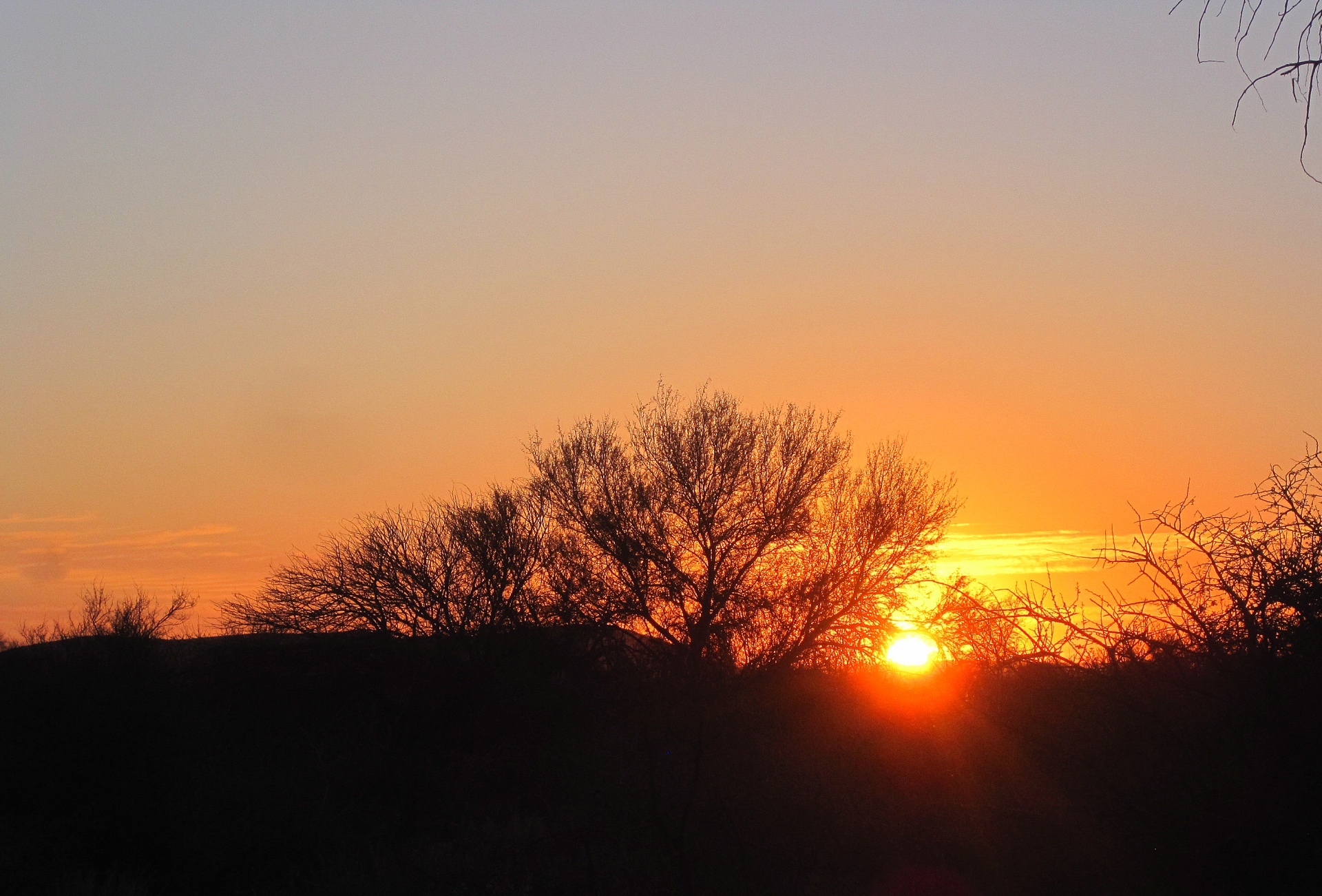 bush africa wilderness free photo