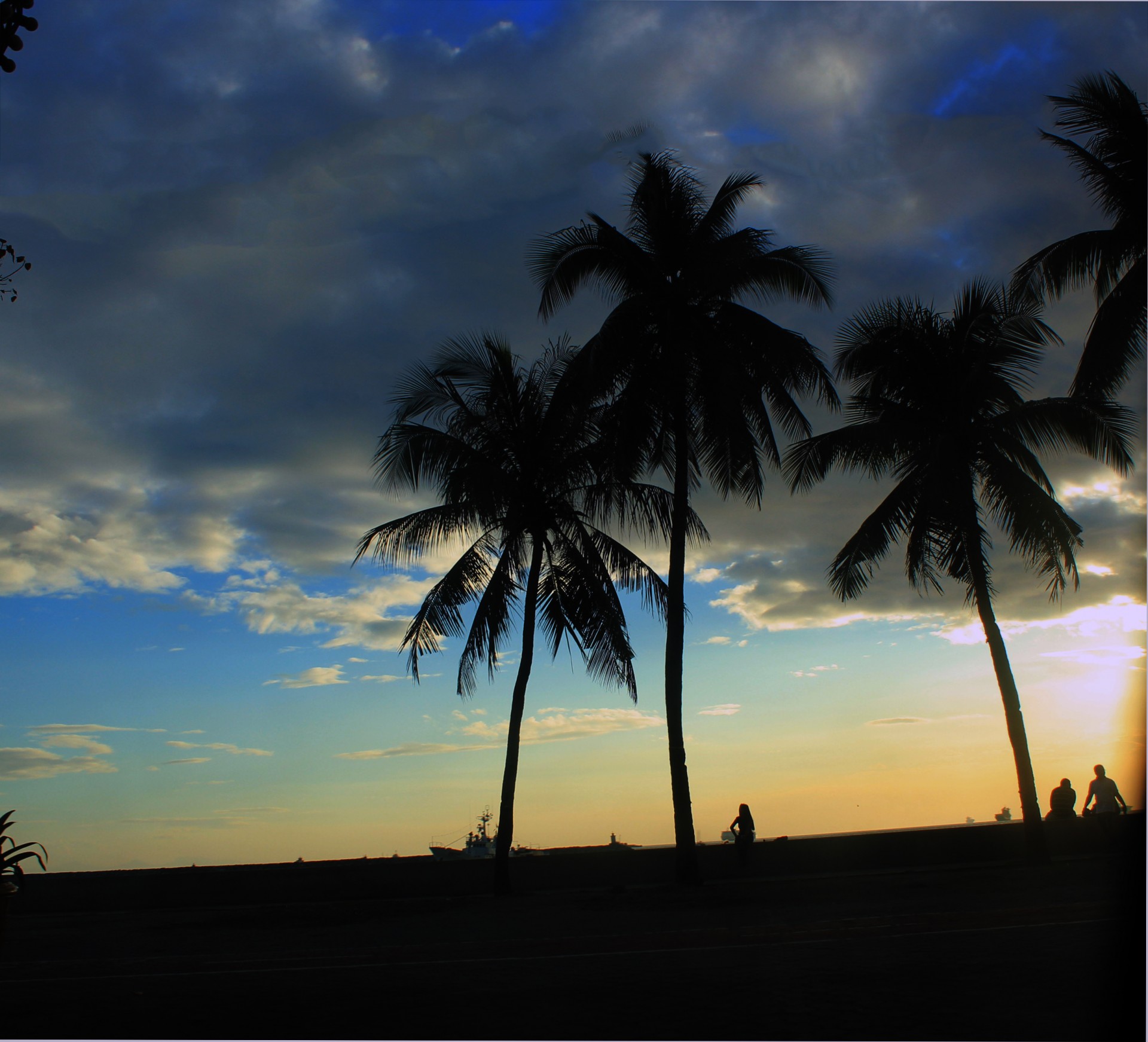 sunset clouds sun free photo