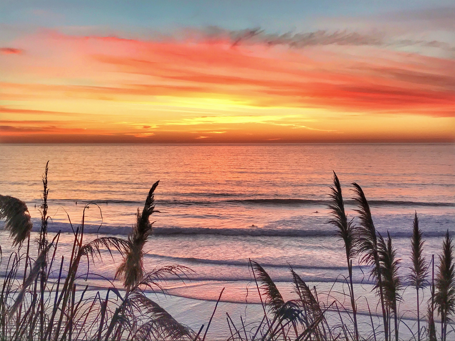california beach sunset free photo