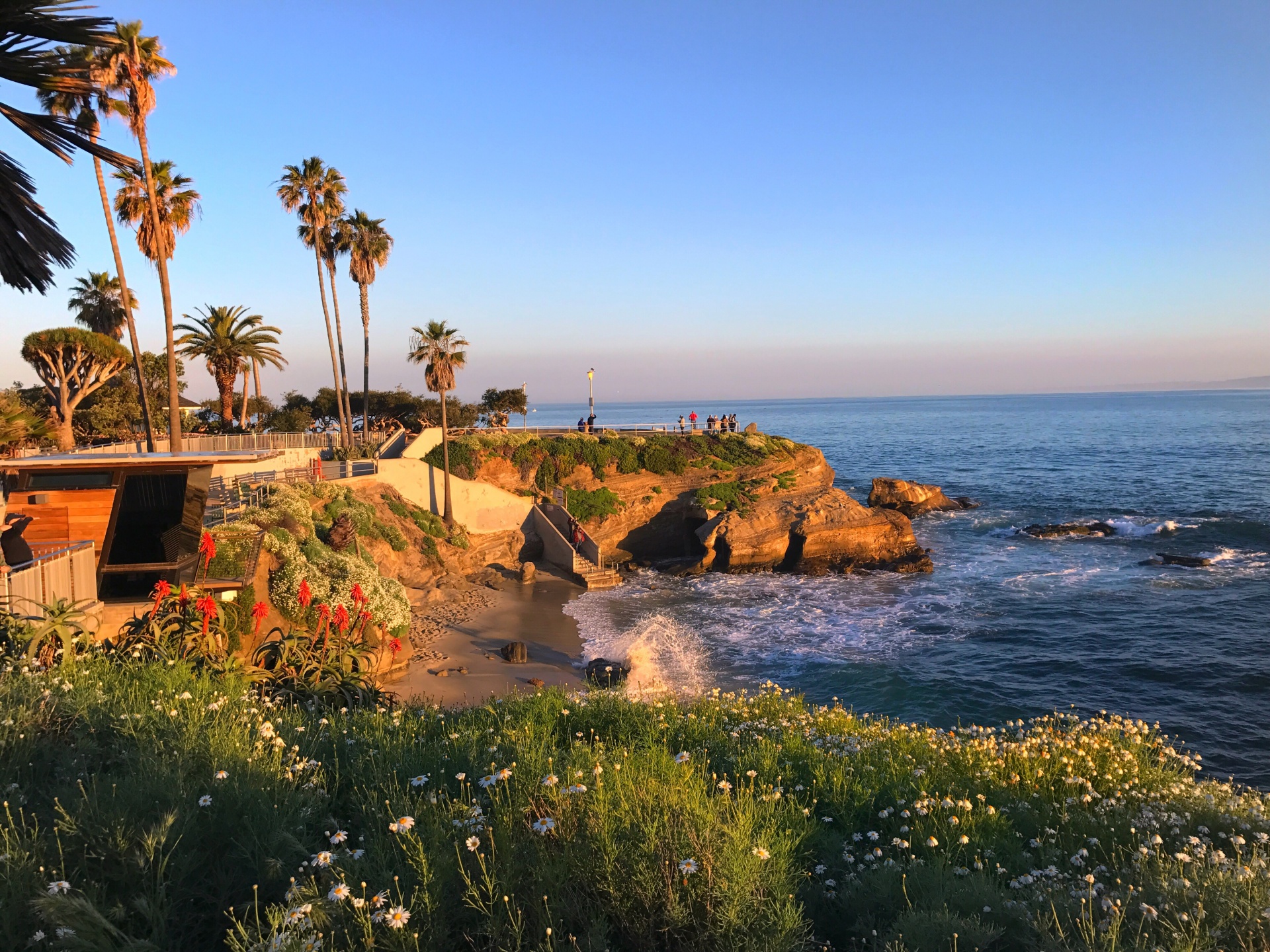 beach summer outdoors free photo