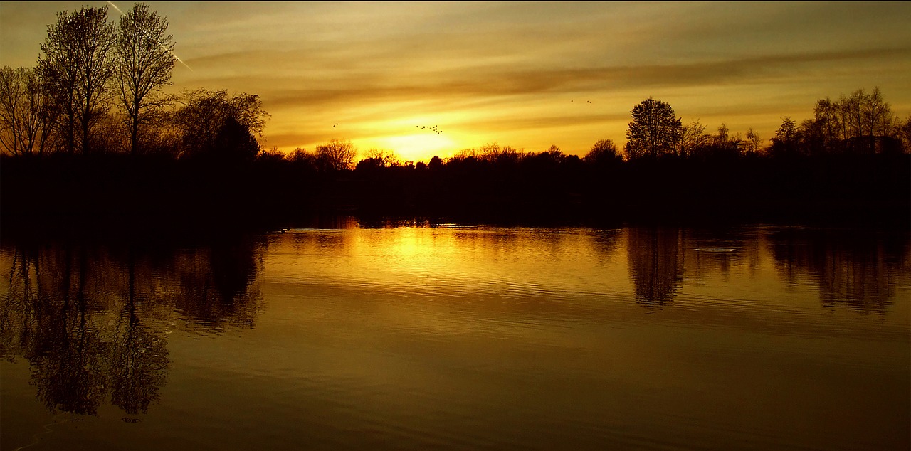 sunset in the britzer garden berlin setting sun free photo