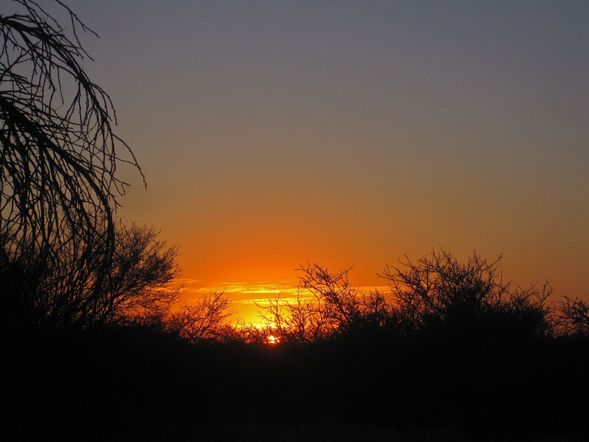 bush africa wilderness free photo