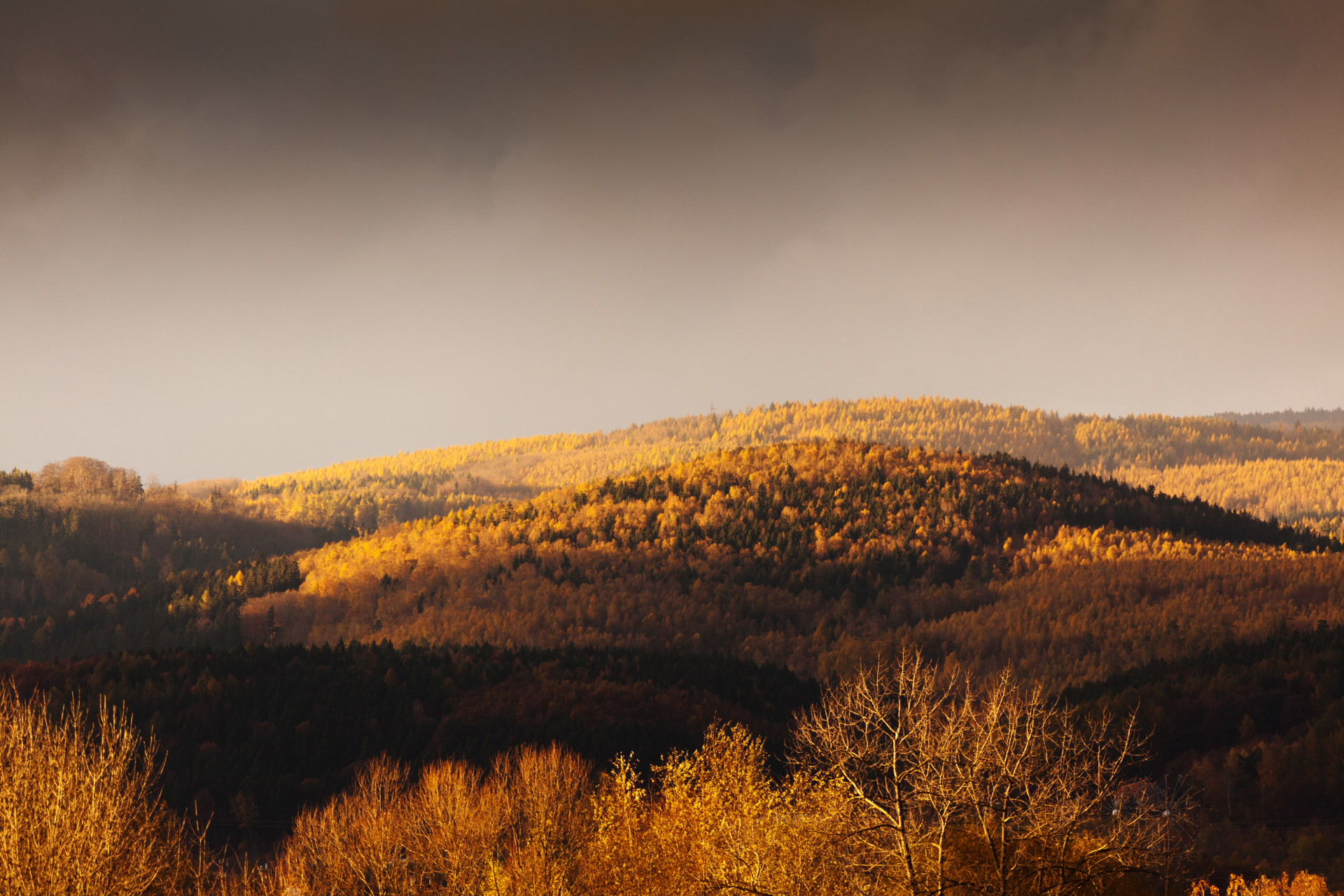 autumn evening fall free photo