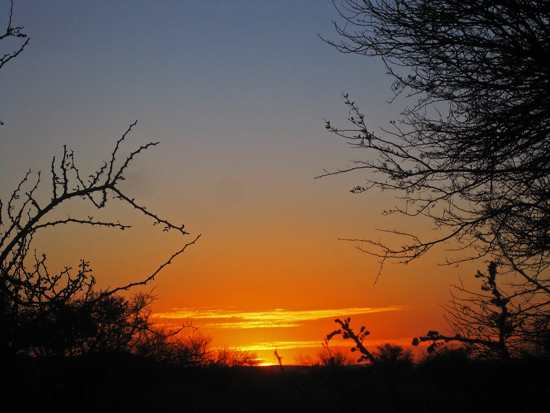 sunset sky orange free photo