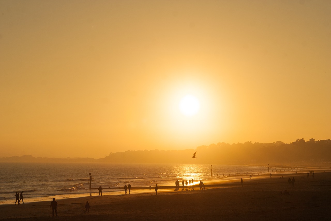 sunset landscape ocean view sunset free photo