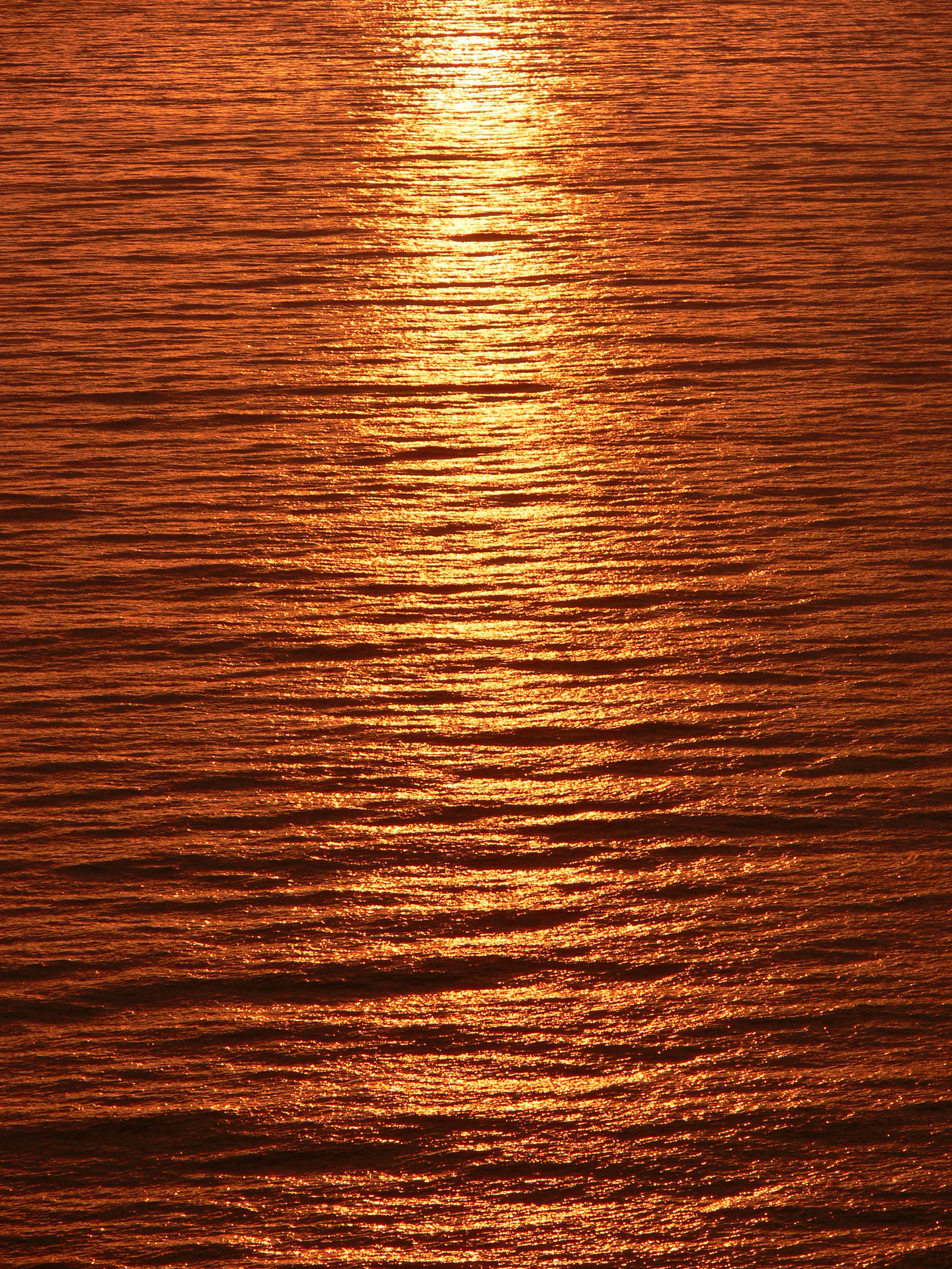streak light sunset free photo