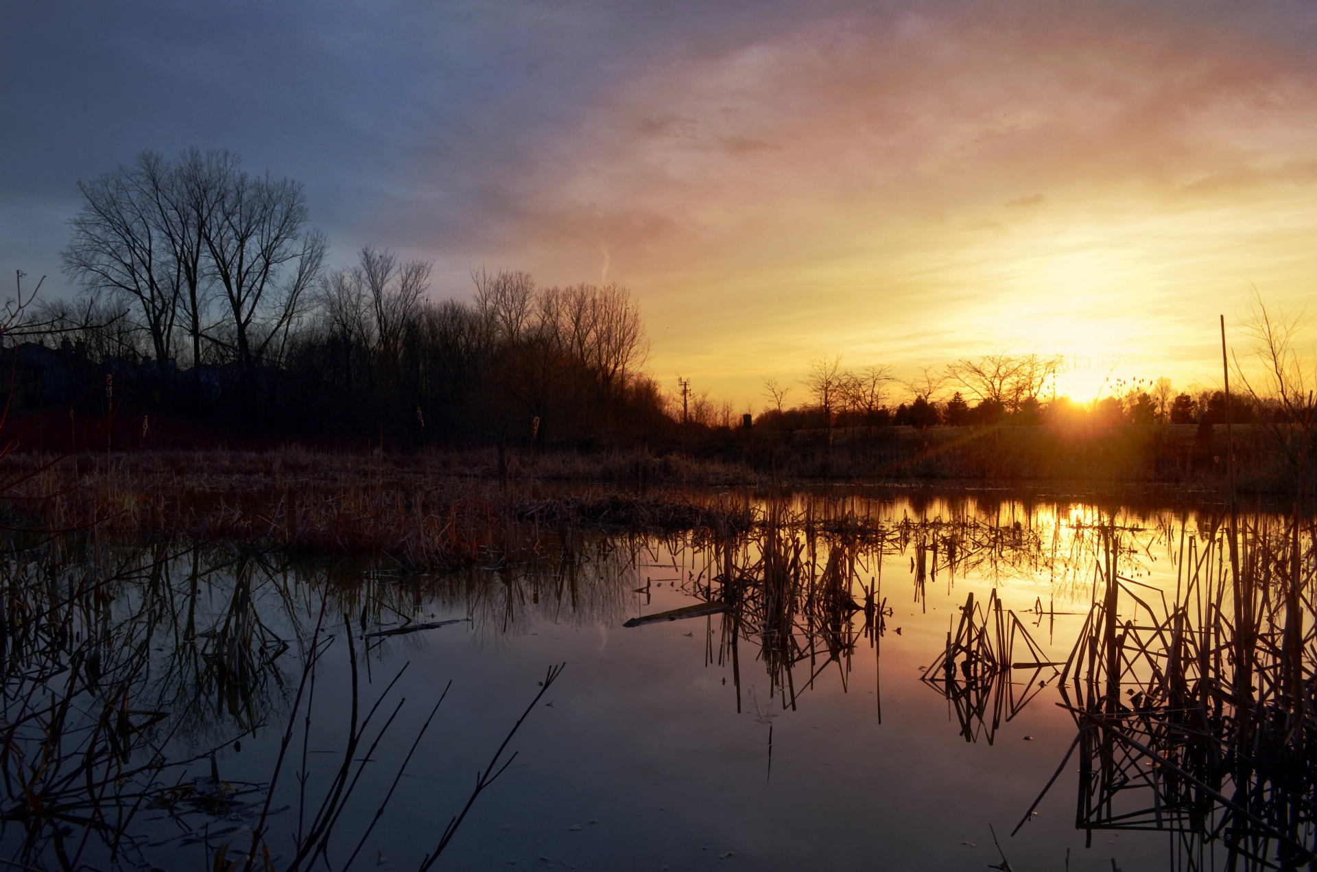 water sunset marsh free photo