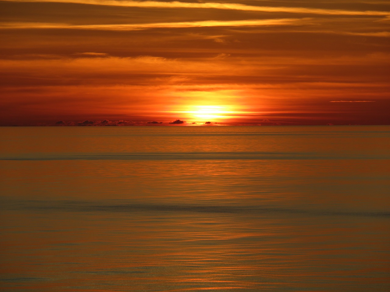 sunset ocean  waves  calm free photo