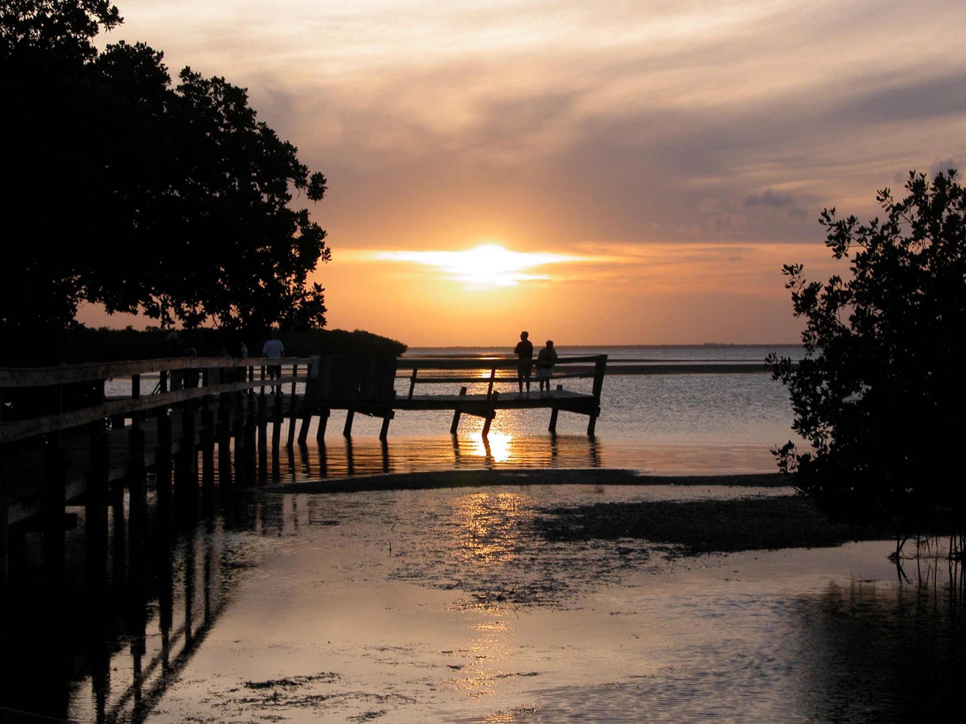 sunset silhouetted people free photo