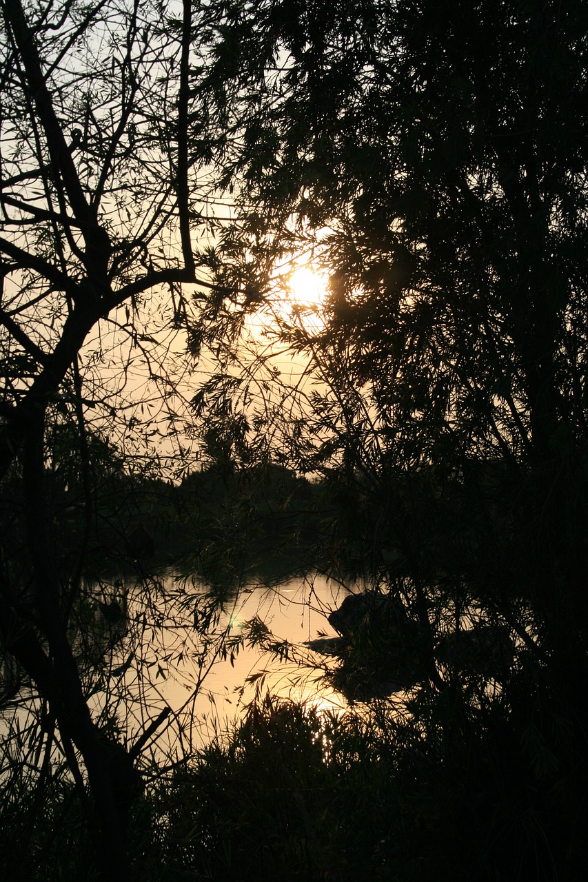 sunset over pond pond water free photo