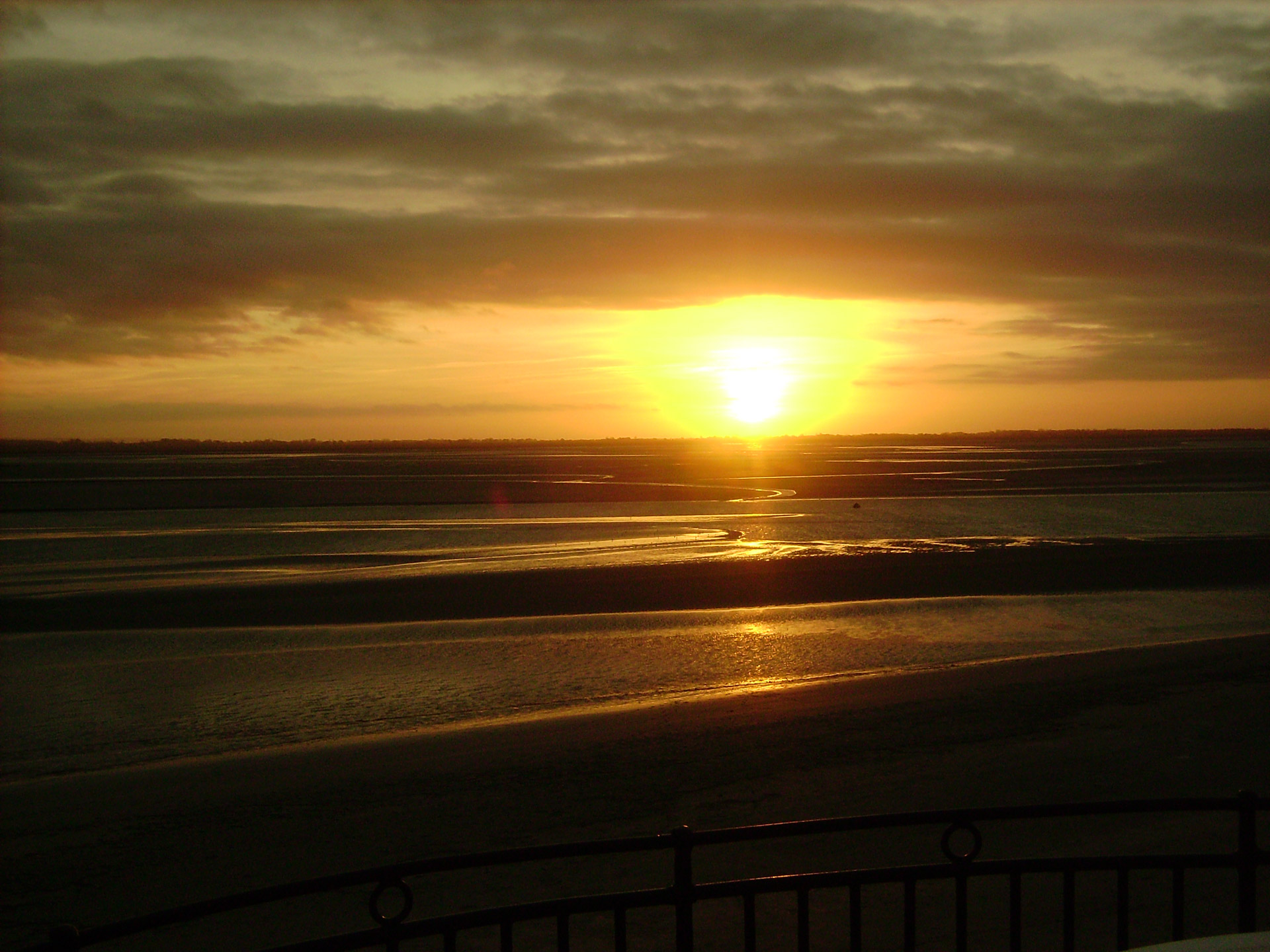 sunset sea gold free photo