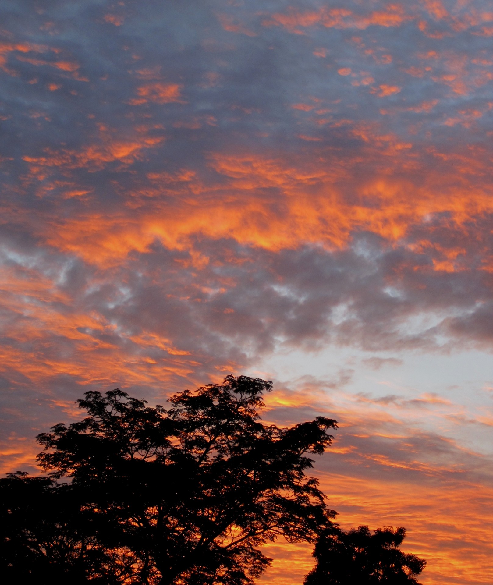 sunset orange sky broken orange cloud free photo