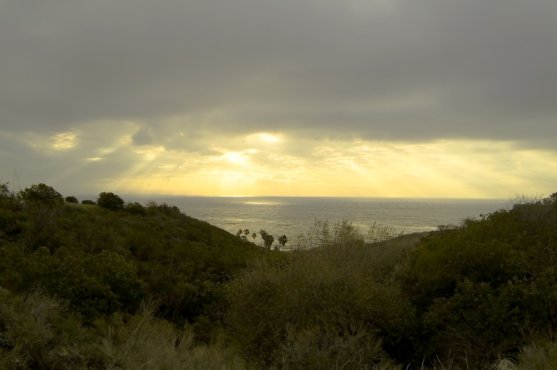 sunset pacific ocean ocean free photo